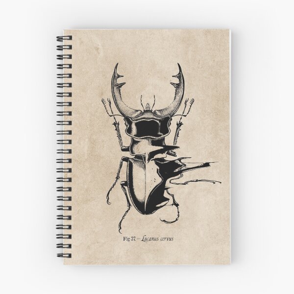 Item preview, Stag Beetle Vintage designed and sold by 7115.