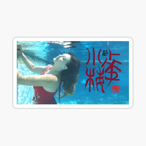 Xiao Mei Underwater Oracle Bone Signature Seal Calligraphy Sticker