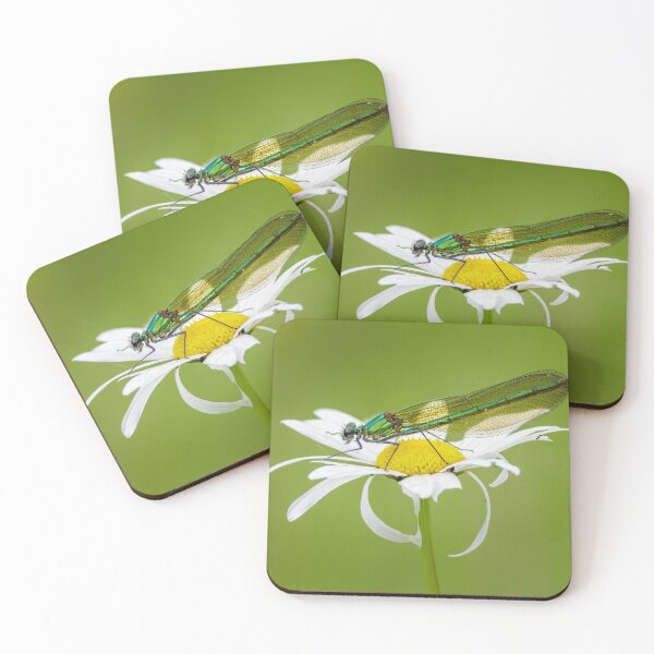 Item preview, Banded Demoiselle on Oxeye Daisy designed and sold by Alec Stewart.