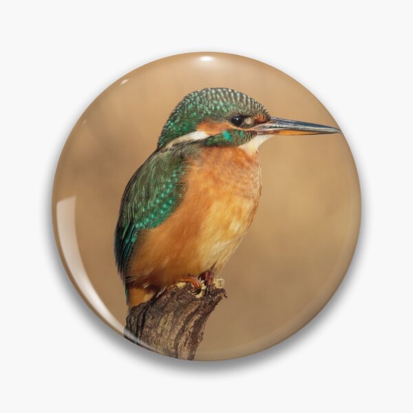 Item preview, River Kingfisher designed and sold by Alec Stewart.