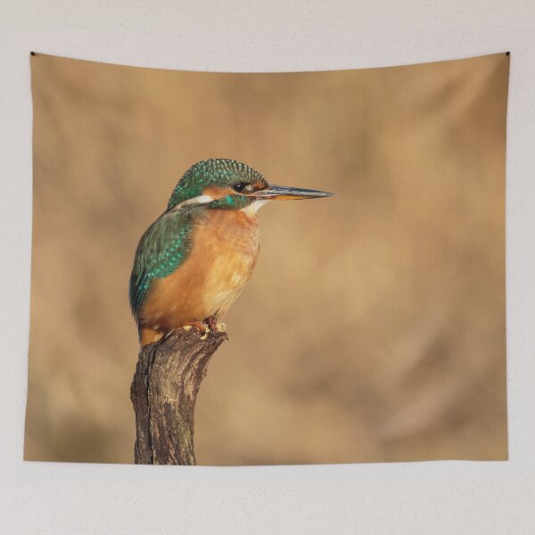 Item preview, River Kingfisher designed and sold by Alec Stewart.
