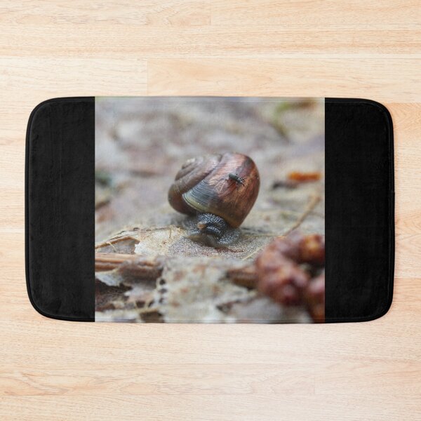 Item preview, Taking the slow ride. Copse snail and a snout beetle designed and sold by Jouko Lehto Photography.