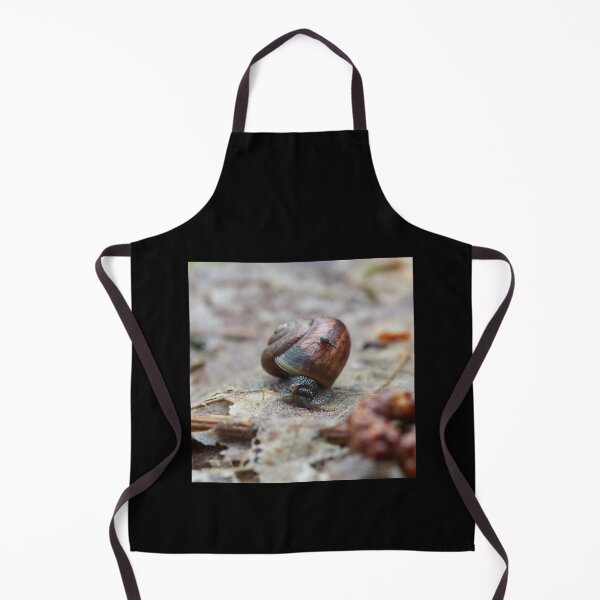 Item preview, Taking the slow ride. Copse snail and a snout beetle designed and sold by Jouko Lehto Photography.