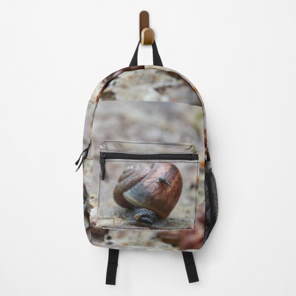 Item preview, Taking the slow ride. Copse snail and a snout beetle designed and sold by Jouko Lehto Photography.