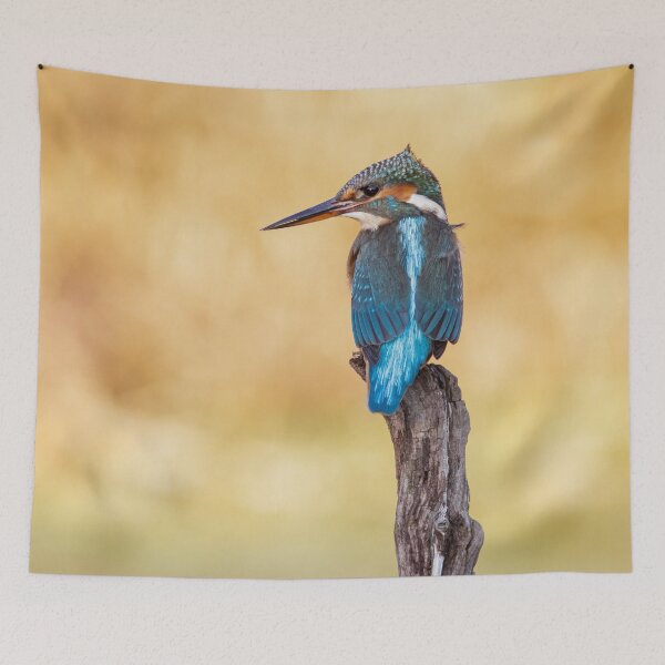 Item preview, Kingfisher designed and sold by Alec Stewart.