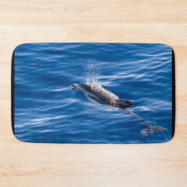 Item preview, Cute Common dolphin jumping in the Atlantic ocean. designed and sold by AylaHarbich.