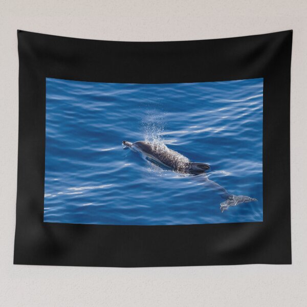 Item preview, Cute Common dolphin jumping in the Atlantic ocean. designed and sold by AylaHarbich.