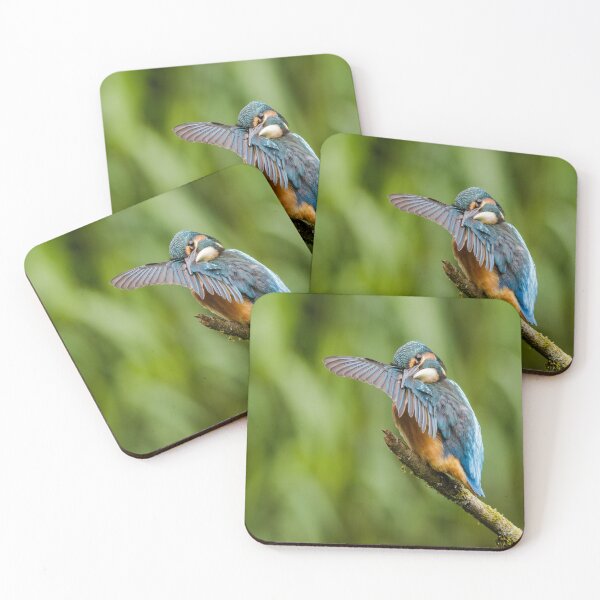 Item preview, Kingfisher Preening designed and sold by Alec Stewart.