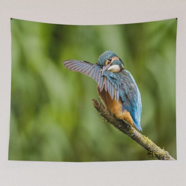 Item preview, Kingfisher Preening designed and sold by Alec Stewart.