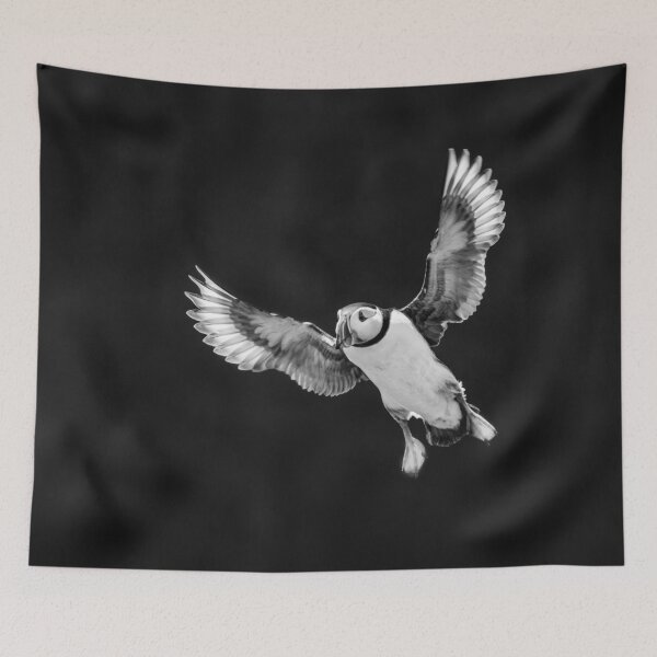 Item preview, Sea Puffin  designed and sold by Alec Stewart.