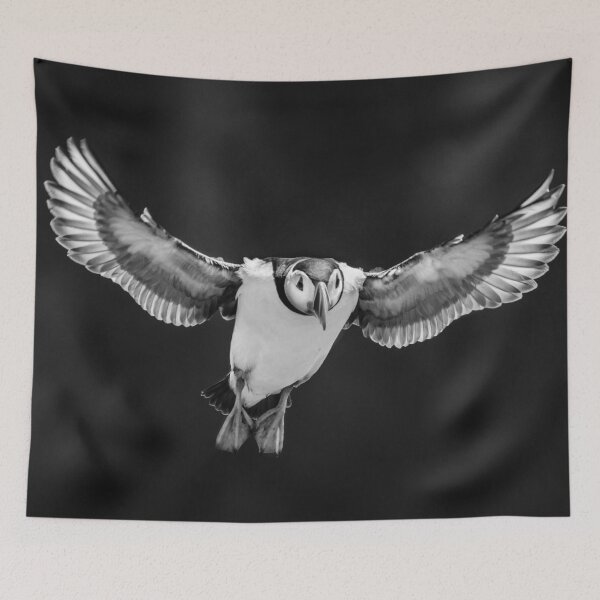 Item preview, Flying High designed and sold by Alec Stewart.