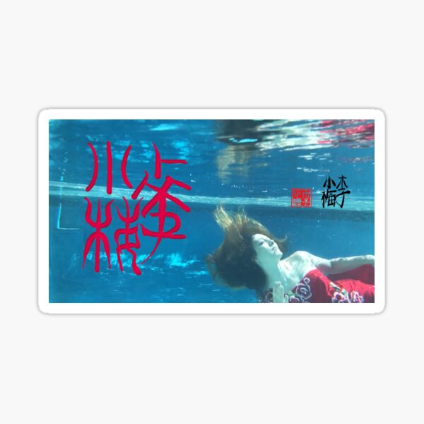 Xiao Mei Underwater Soma Oracle Bone Signature Seal Calligraphy Sticker