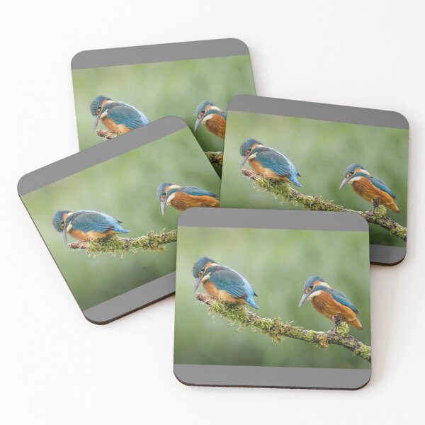 Item preview, Pair of Kingfishers designed and sold by Alec Stewart.