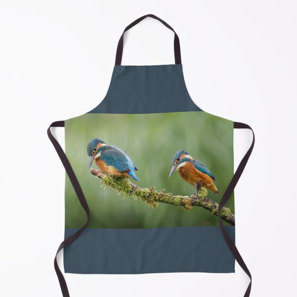 Item preview, Pair of Kingfishers designed and sold by Alec Stewart.