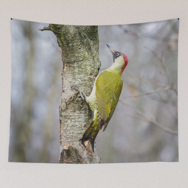 Item preview, Green Woodpecker designed and sold by Alec Stewart.
