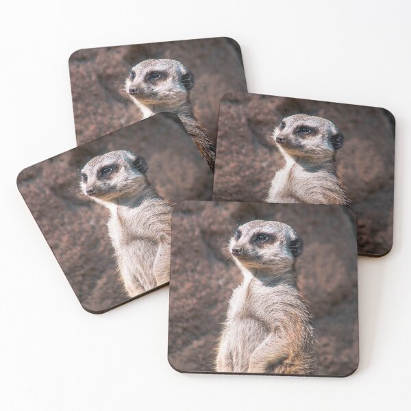 Item preview, Meerkat Looking over the Horizon designed and sold by Michael Deemer.