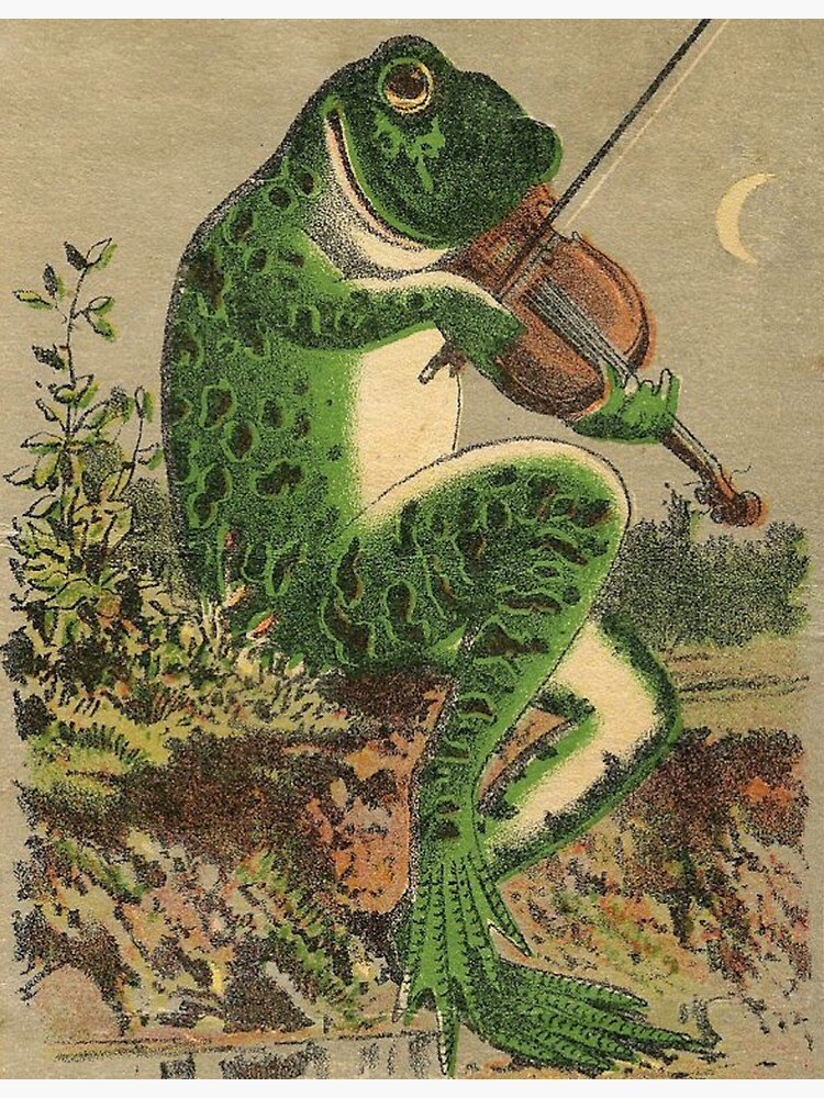 Disover Vintage Frog Playing a Violin Premium Matte Vertical Poster