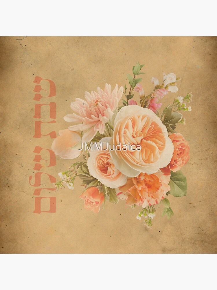 Hebrew Greeting Shabbat Shalom  Art Print for Sale by JMMJudaica