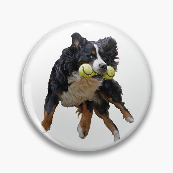 Artikelvorschau, Bereit für den Start - der fliegende Hund entworfen und verkauft von AlbertandOlly.
