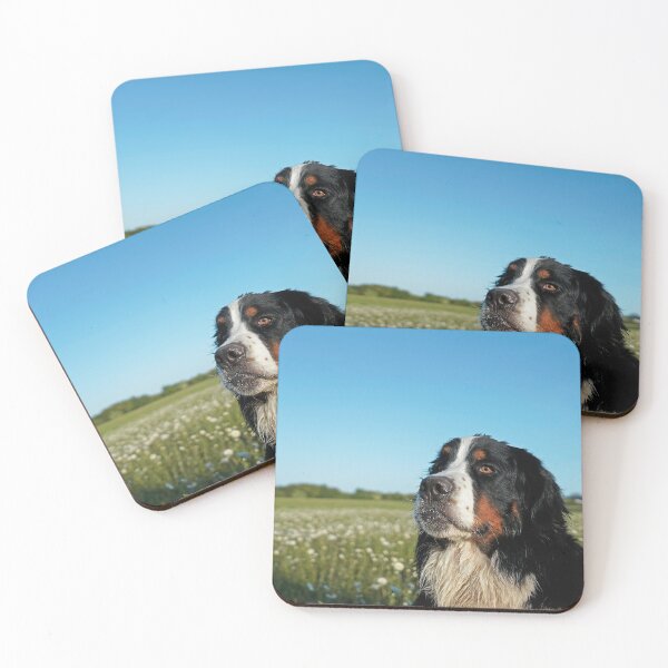 Item preview, Portrait of very cute Bernese Mountain Dog designed and sold by AlbertandOlly.