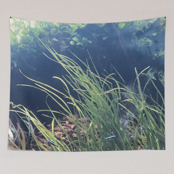 Item preview, . sea plants . designed and sold by diana rogagels.