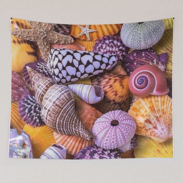 Item preview, Colorful Shells designed and sold by Aura __Print.