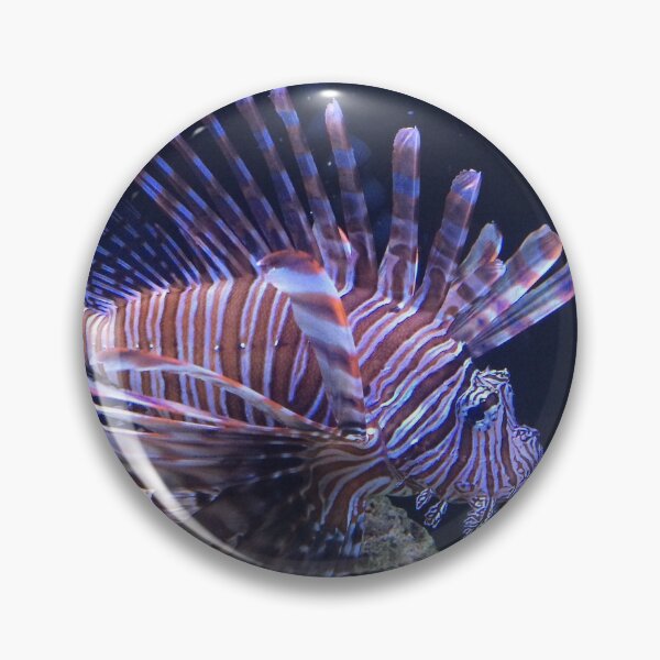 Item preview, Tropical lionfish in aquarium designed and sold by JuliVogel.