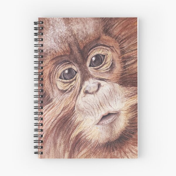 Aperçu de l'œuvre Bébé orang-outang à l'aquarelle créée et vendue par Delphine HIBOU.