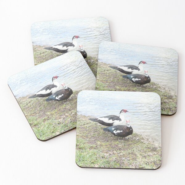Item preview, ducks family  designed and sold by Coconuts20.