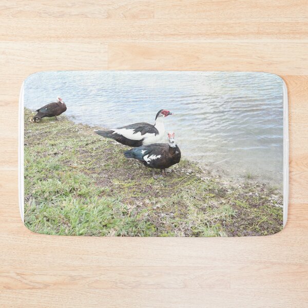 Item preview, ducks family  designed and sold by Coconuts20.