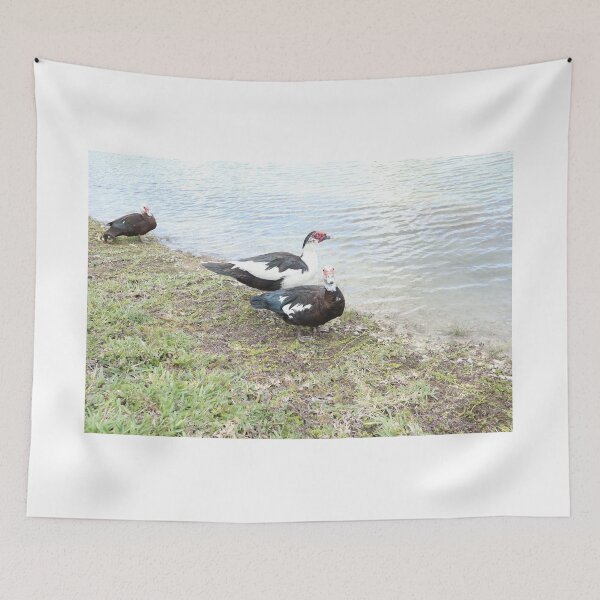Item preview, ducks family  designed and sold by Coconuts20.