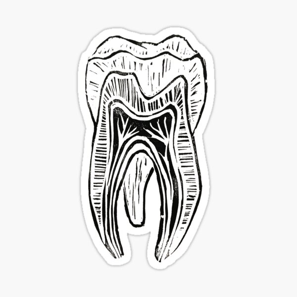 Dental Stickers for Sale