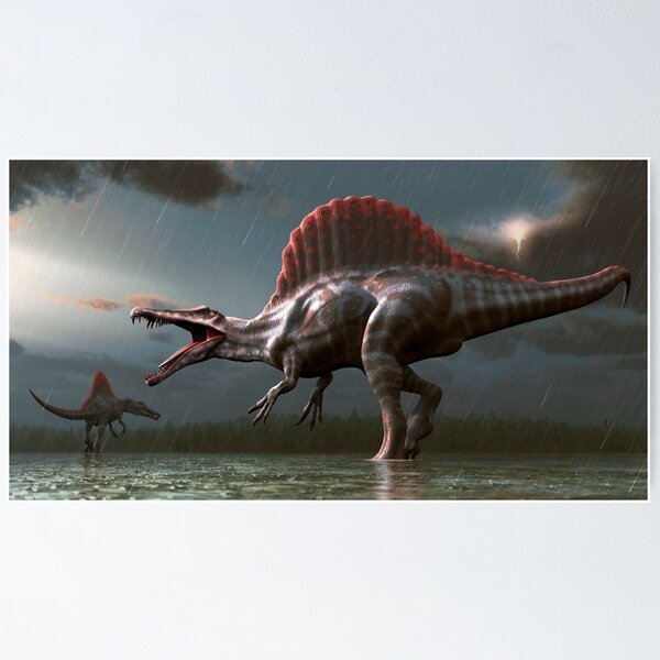 Spinosaurus Wall Art for Sale Redbubble