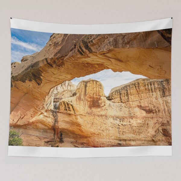 Item preview, Hickman Bridge II Capitol Reef National Park Utah designed and sold by PhotoArt by Joan Carroll.