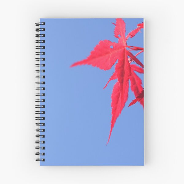 Item preview, Acer y Sun designed and sold by GFPhotography.