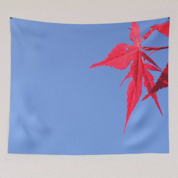 Item preview, Acer and Sun designed and sold by GFPhotography.