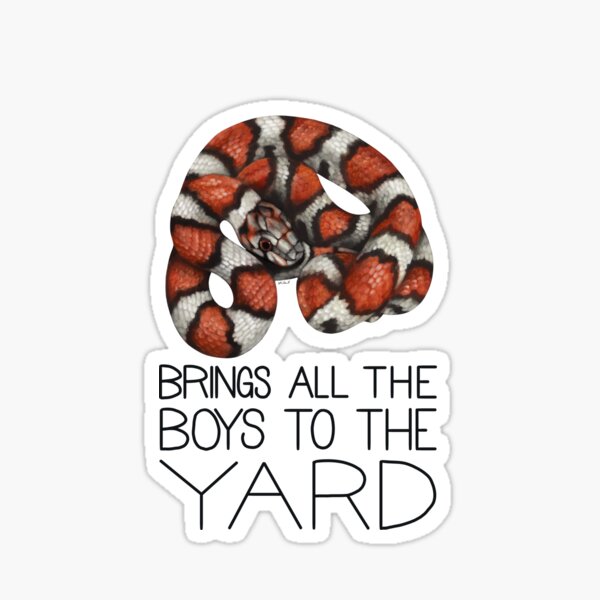 Item preview, My Milk Snake Brings All the Boys to the Yard designed and sold by LauraWolfArtist.