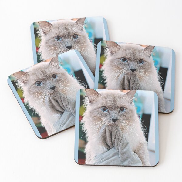 Item preview, Odin the ragdoll cat designed and sold by Fluffycat2020.