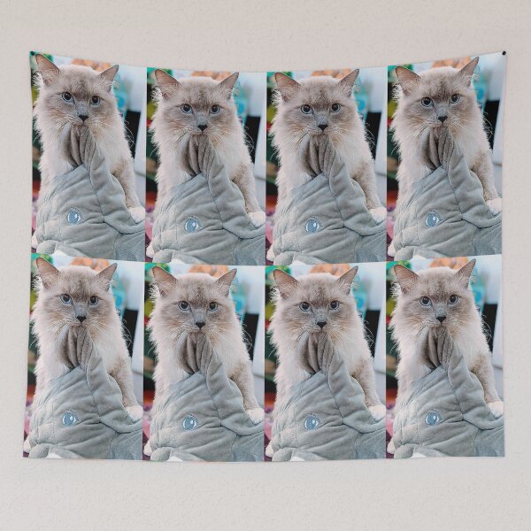Item preview, Odin the ragdoll cat designed and sold by Fluffycat2020.