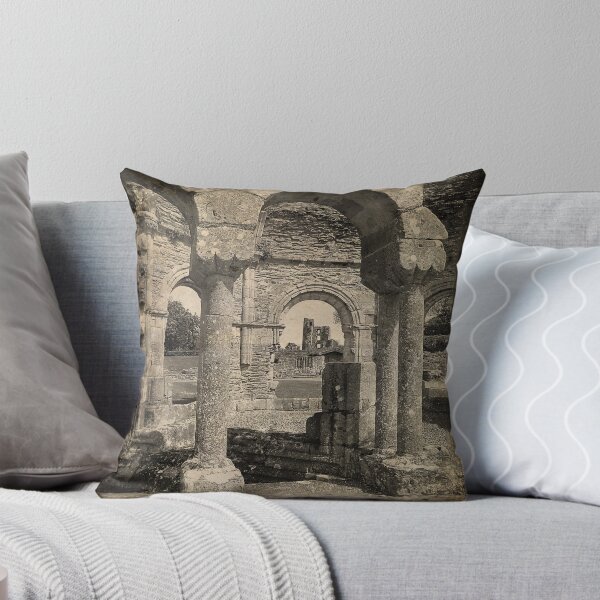 Item preview, Old Mellifont Abbey - County Louth, Ireland - Distressed Retro Photograph designed and sold by Retro Art Factory.