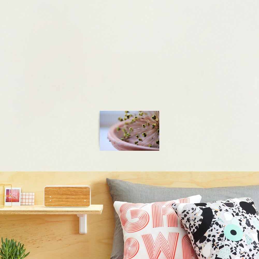 Item preview, Photographic Print designed and sold by SweetLemon.