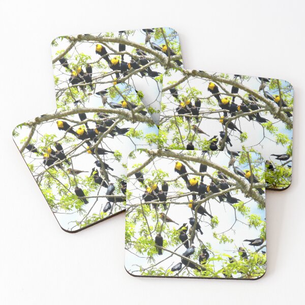 Item preview, Yellow Headed Blackbirds designed and sold by Cathy Jones.