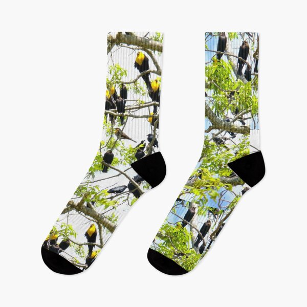 Item preview, Yellow Headed Blackbirds designed and sold by Cathy Jones.