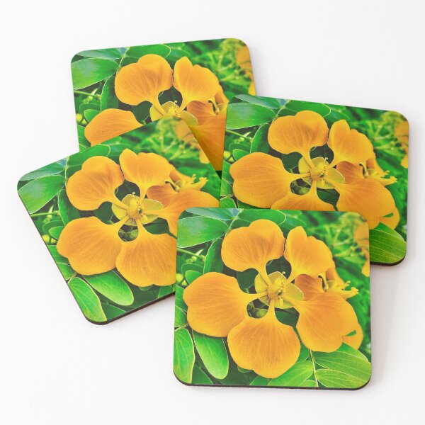 Item preview, Blooming Petaled Yellow Flower  designed and sold by Ismar0904.
