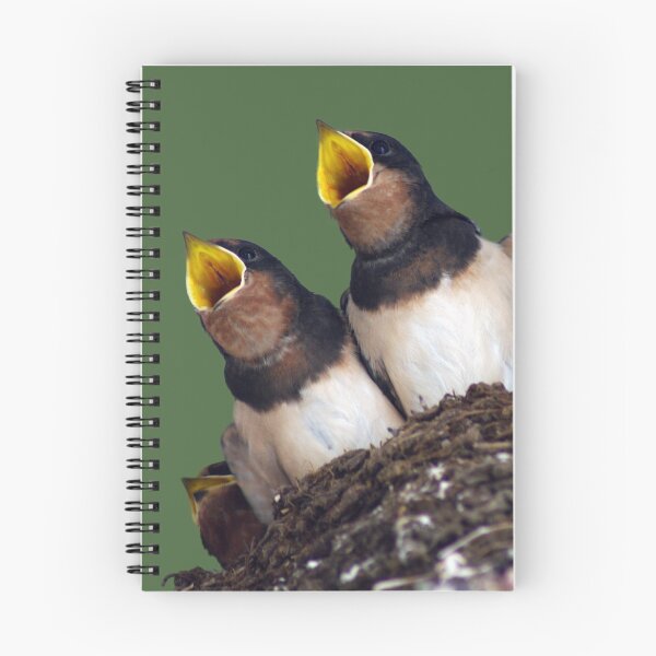 Item preview, Baby Swallows designed and sold by Susan  Watkins.
