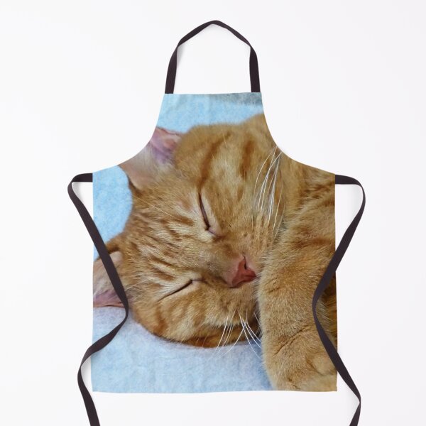 Item preview, Sleeping Cat designed and sold by Frankie Cat Photography.