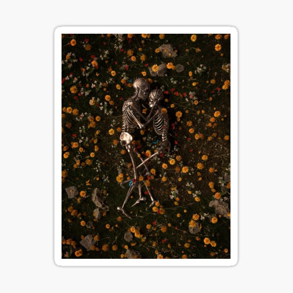 Memento Mori Pegatina