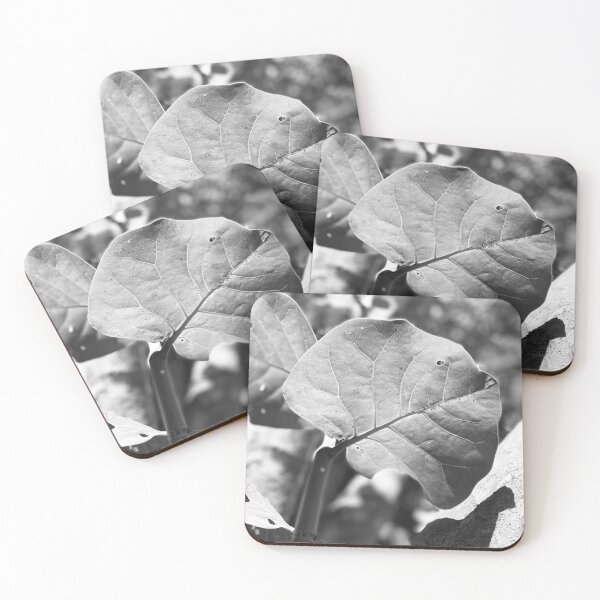 Item preview, Simple Nature Black and White Leaf Texture  designed and sold by Ismar0904.