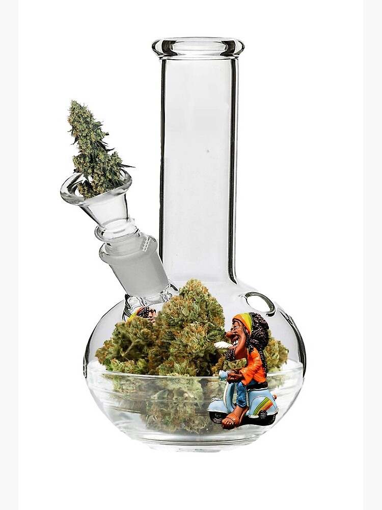 Stoners. A funny sits on his scooter in front of hashish buds. In the bong." Art Board Print for Sale by emoove | Redbubble