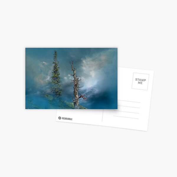 Item preview, 3501 designed and sold by peter holme III.